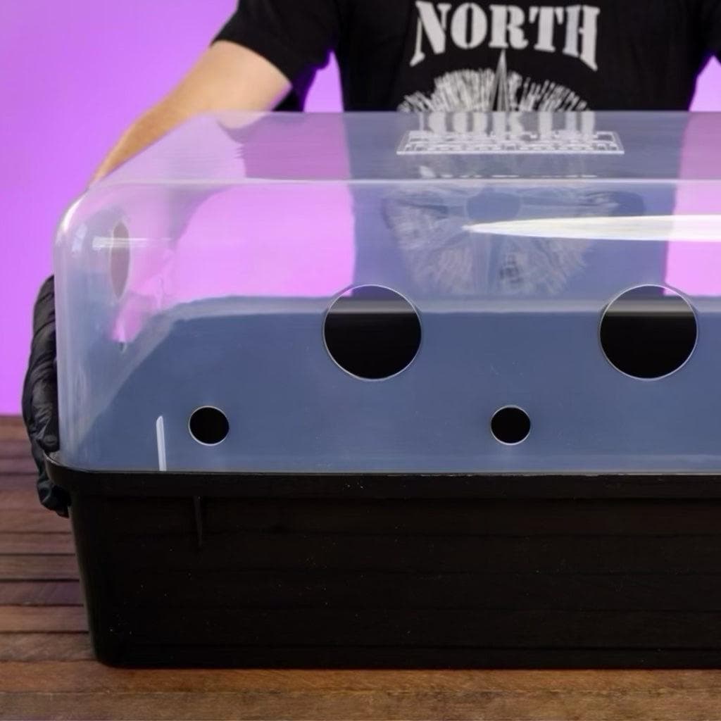 Boomr Bin' + CVG Monotub Mushroom Grow Kit