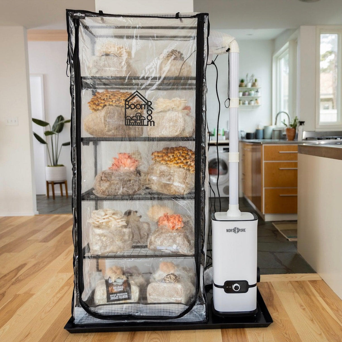 BoomRoom II Automated Martha Tent Mushroom Grow System
