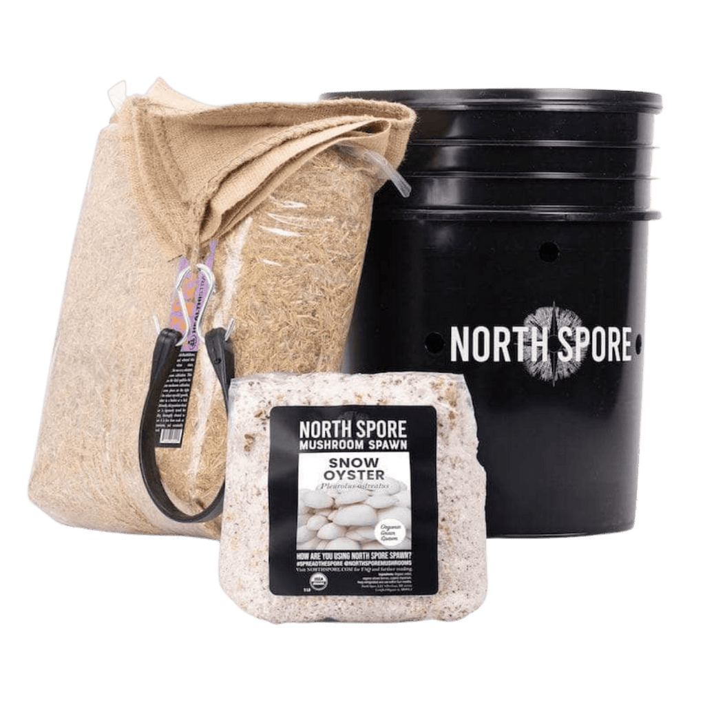 'MushBucket' Mushroom Bucket Grow Kit