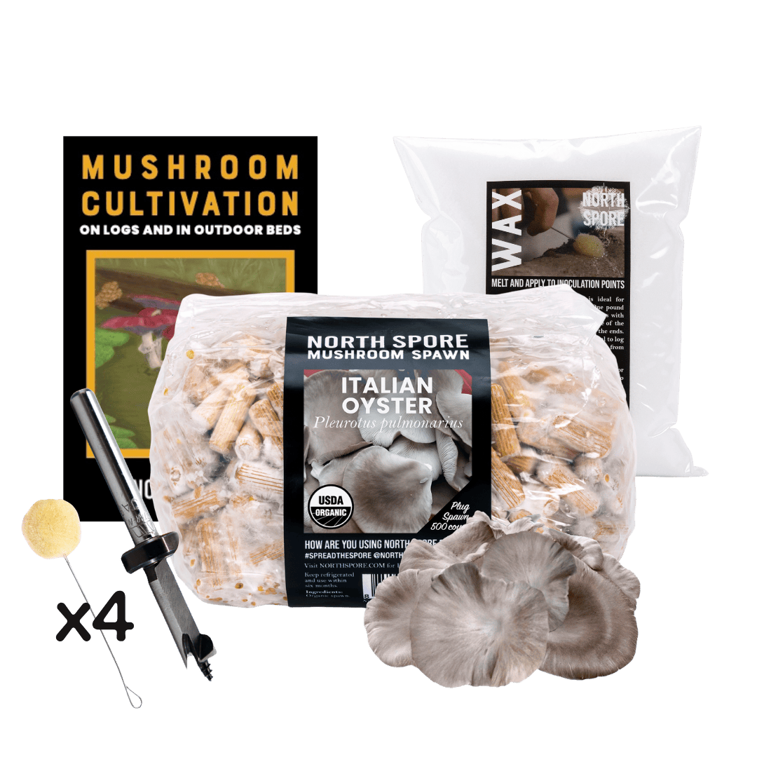Plug Spawn Mushroom Log Beginner Kit