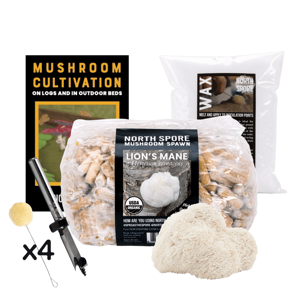 Plug Spawn Mushroom Log Beginner Kit