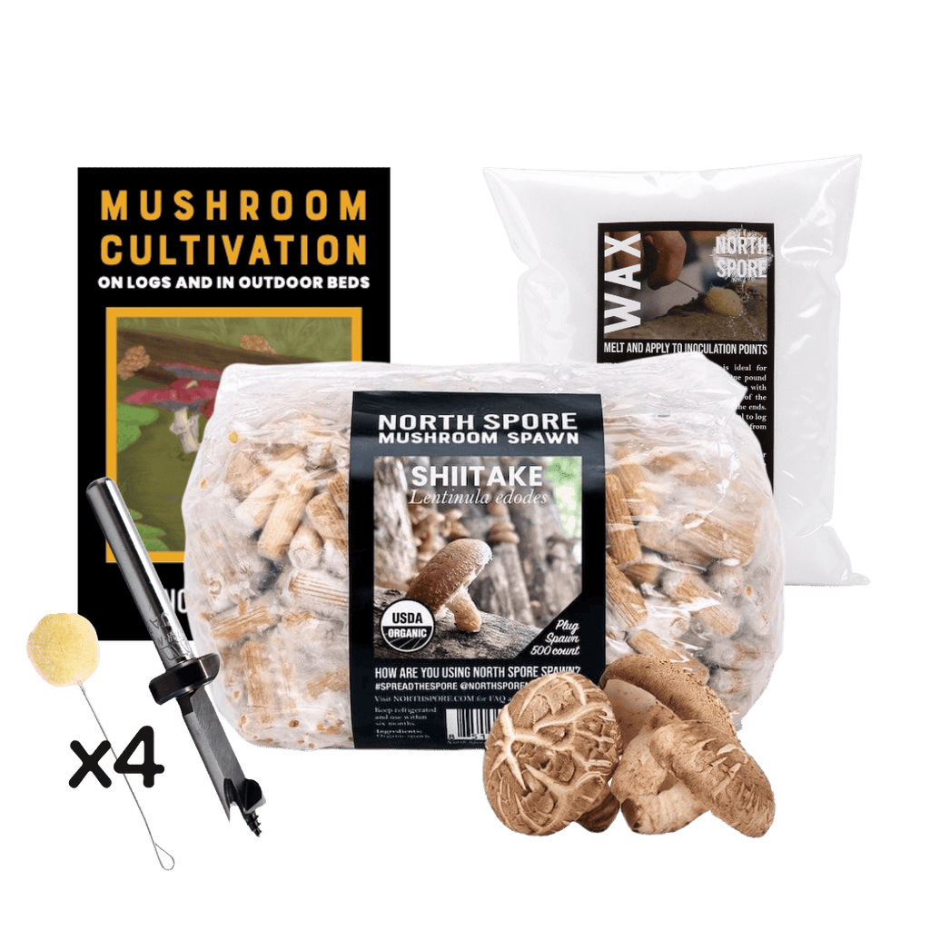 Plug Spawn Mushroom Log Beginner Kit