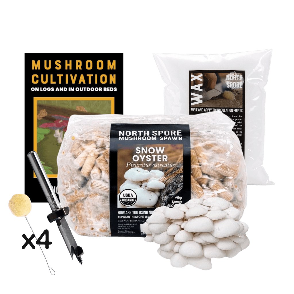 Plug Spawn Mushroom Log Beginner Kit
