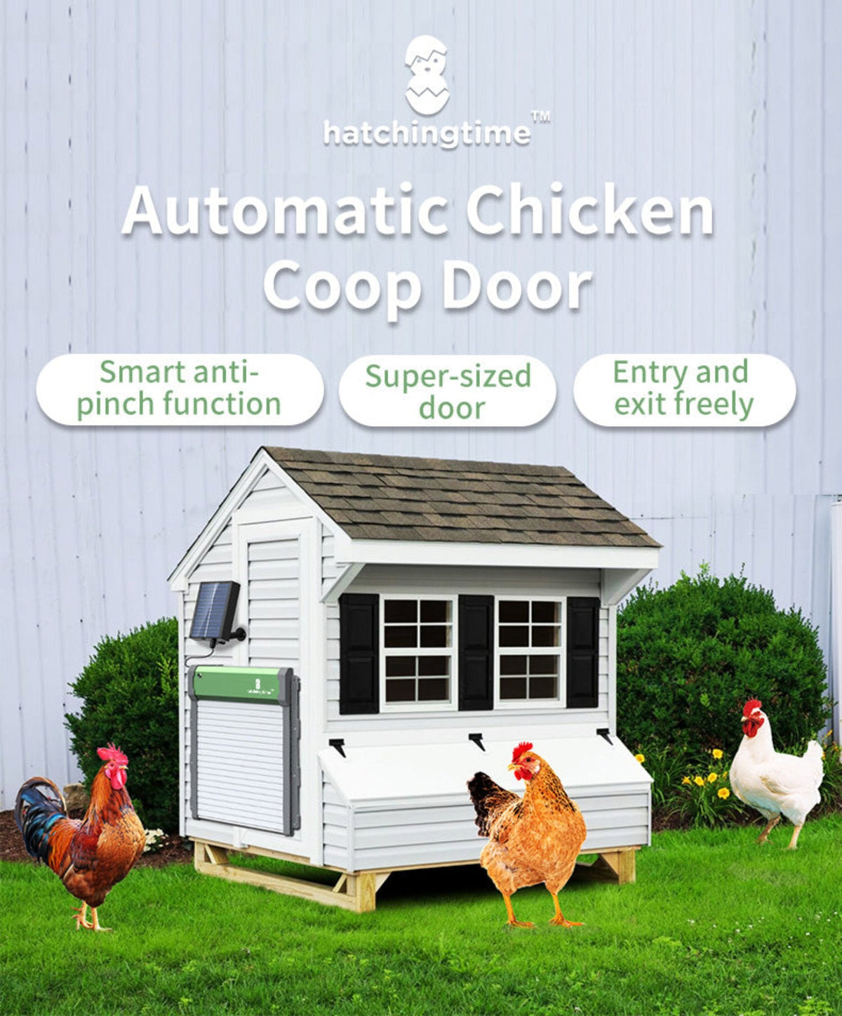 Sungate Solar Powered Automatic Chicken Coop Door with Remote
