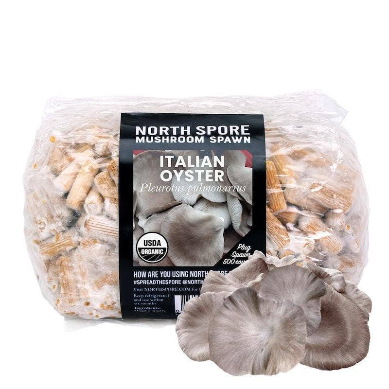 Organic Italian Oyster Mushroom Plug Spawn