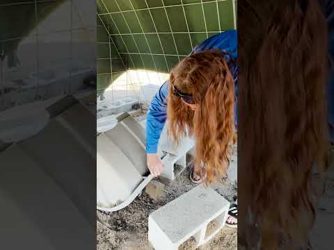Bobwhite Quail Hatching 36 Eggs