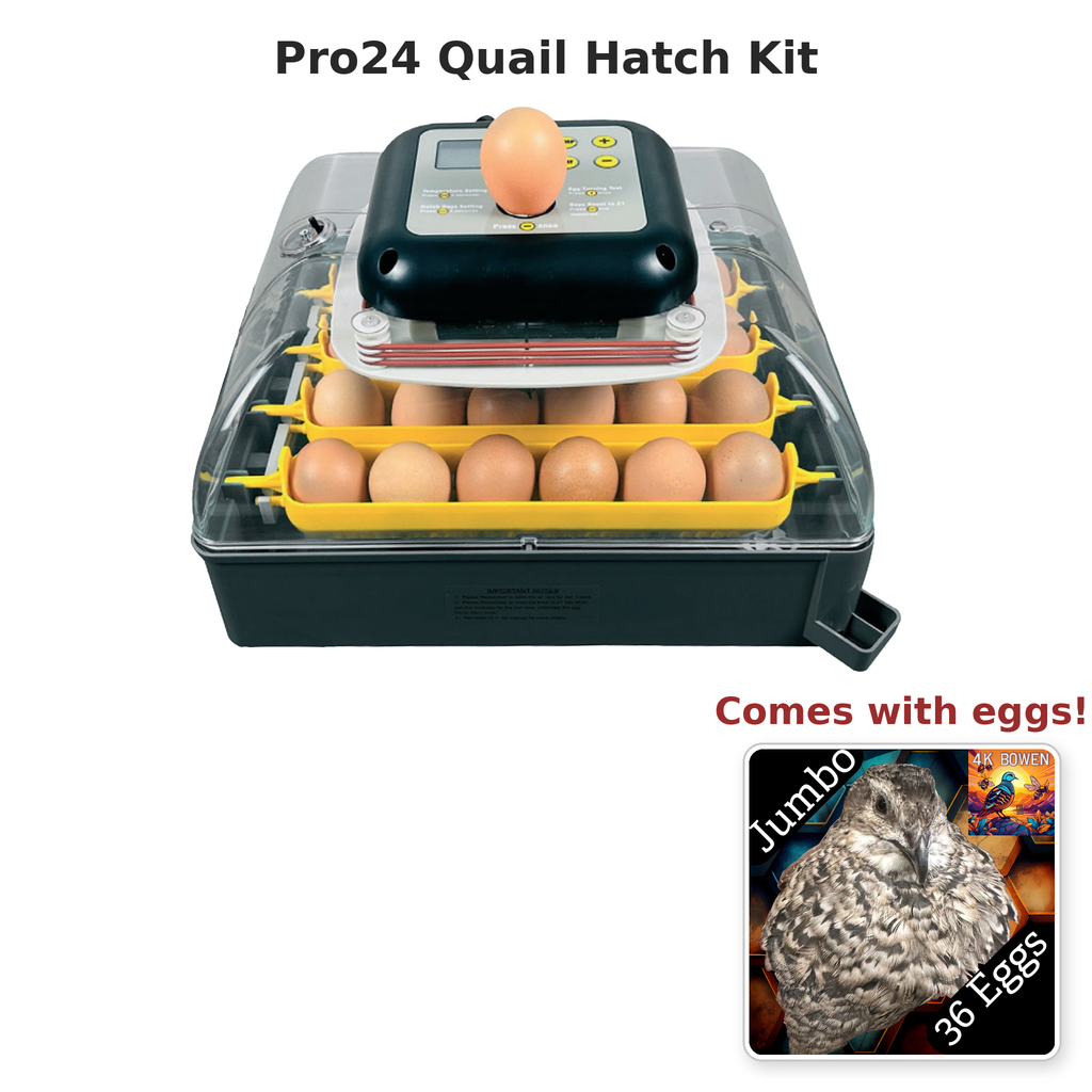 Pro24 Quail Hatch Kit