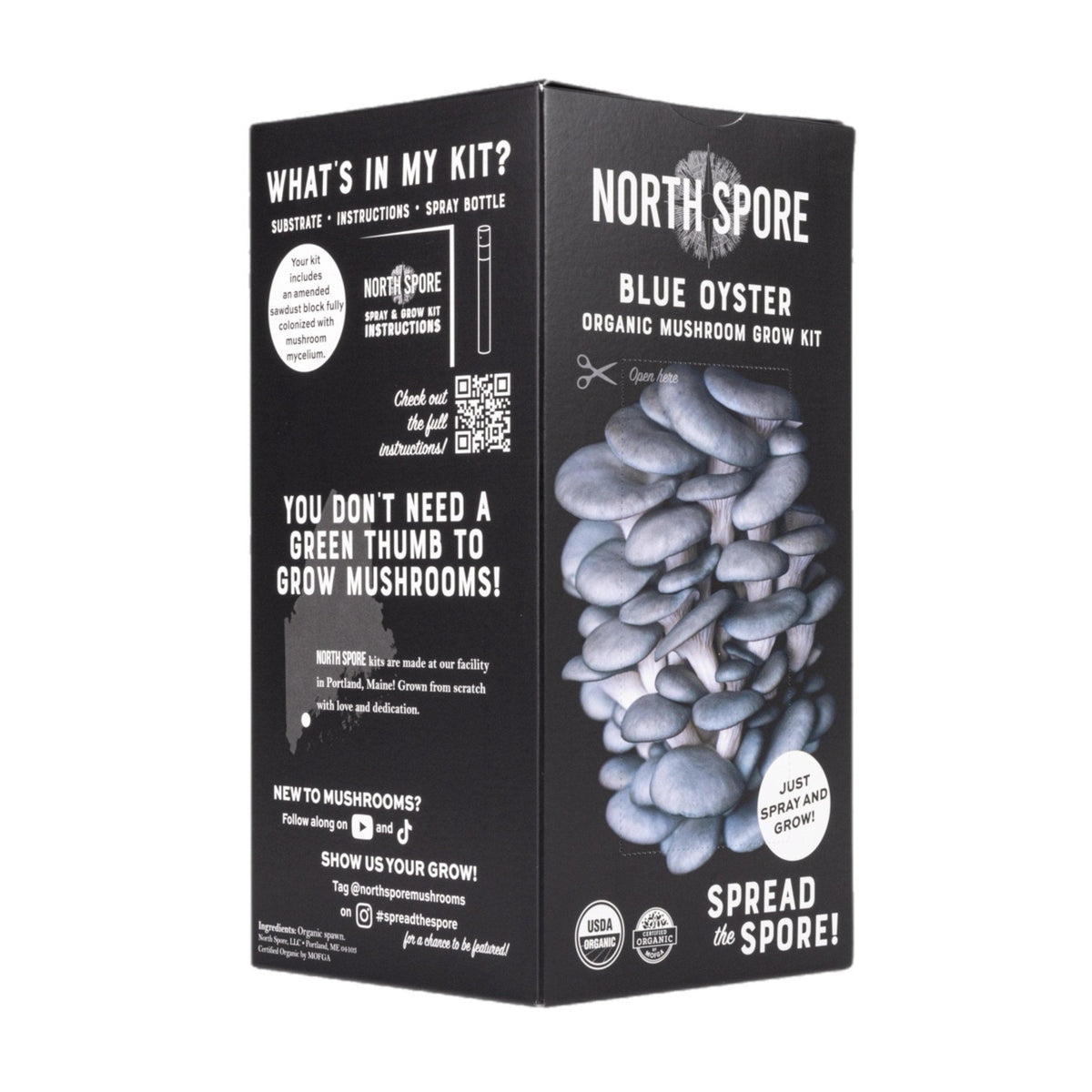 Organic Blue Oyster ‘Spray & Grow’ Mushroom Growing Kit