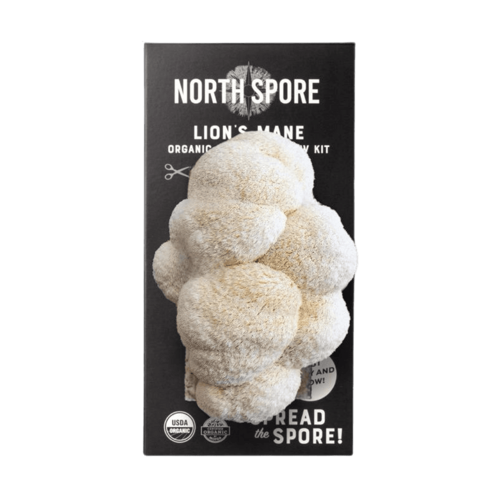 Organic Lion's Mane ‘Spray & Grow’ Mushroom Growing Kit