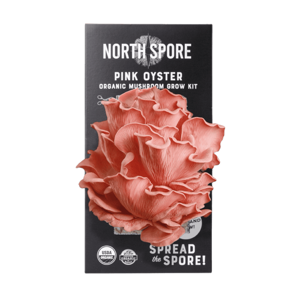 Organic Pink Oyster ‘Spray & Grow’ Mushroom Growing Kit
