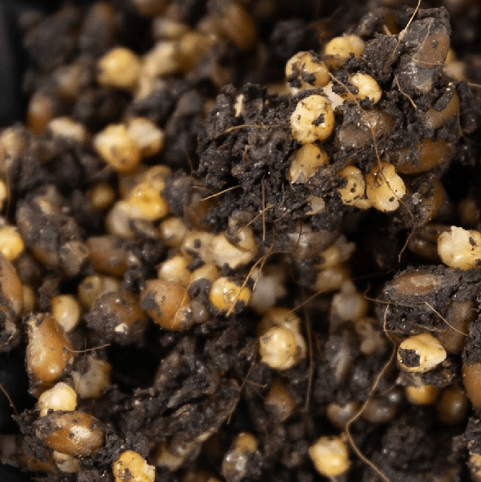 ShroomTek' + Spore Boostr All-In-One Mushroom Grow Bag