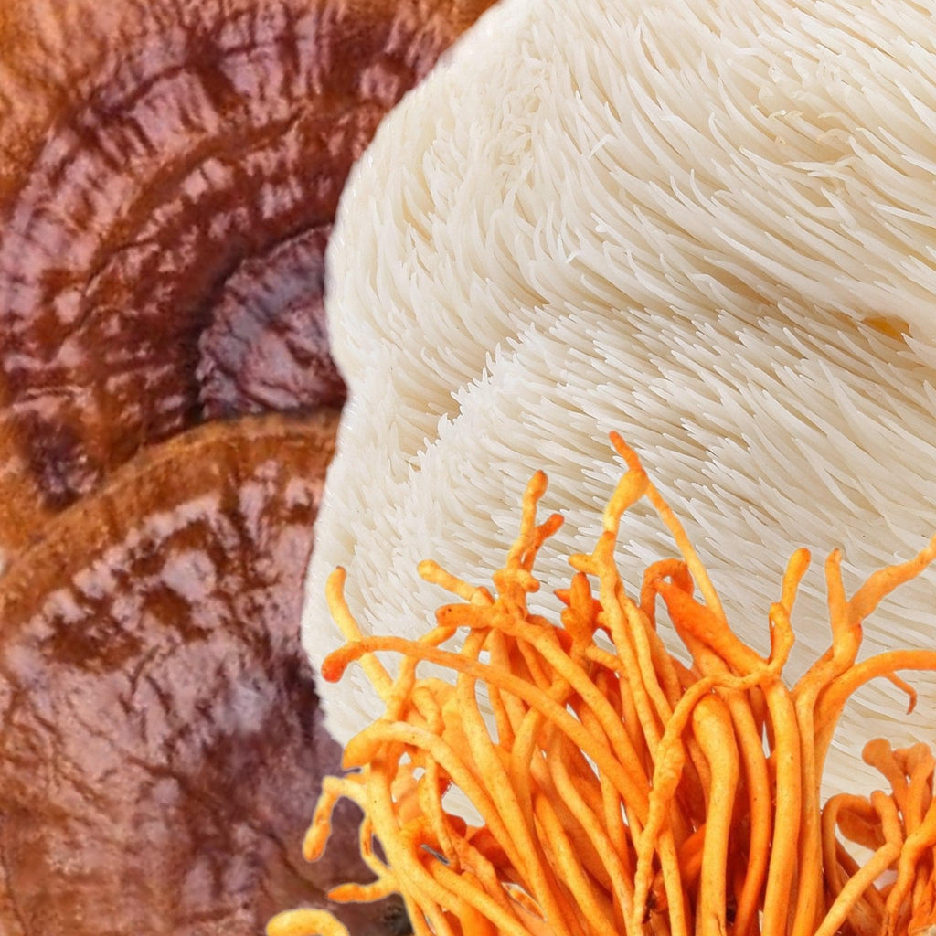 Organic ‘Clarity’ Mushroom Capsules (High Potency)