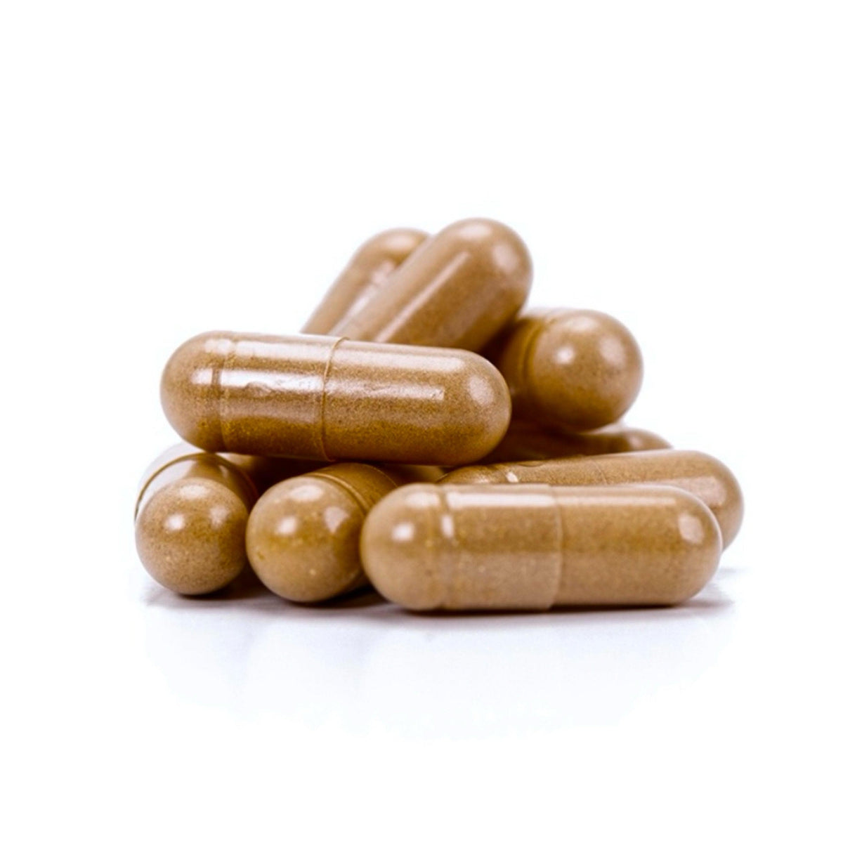 Organic ‘Spectrum 10’ Mushroom Capsules (High Potency)